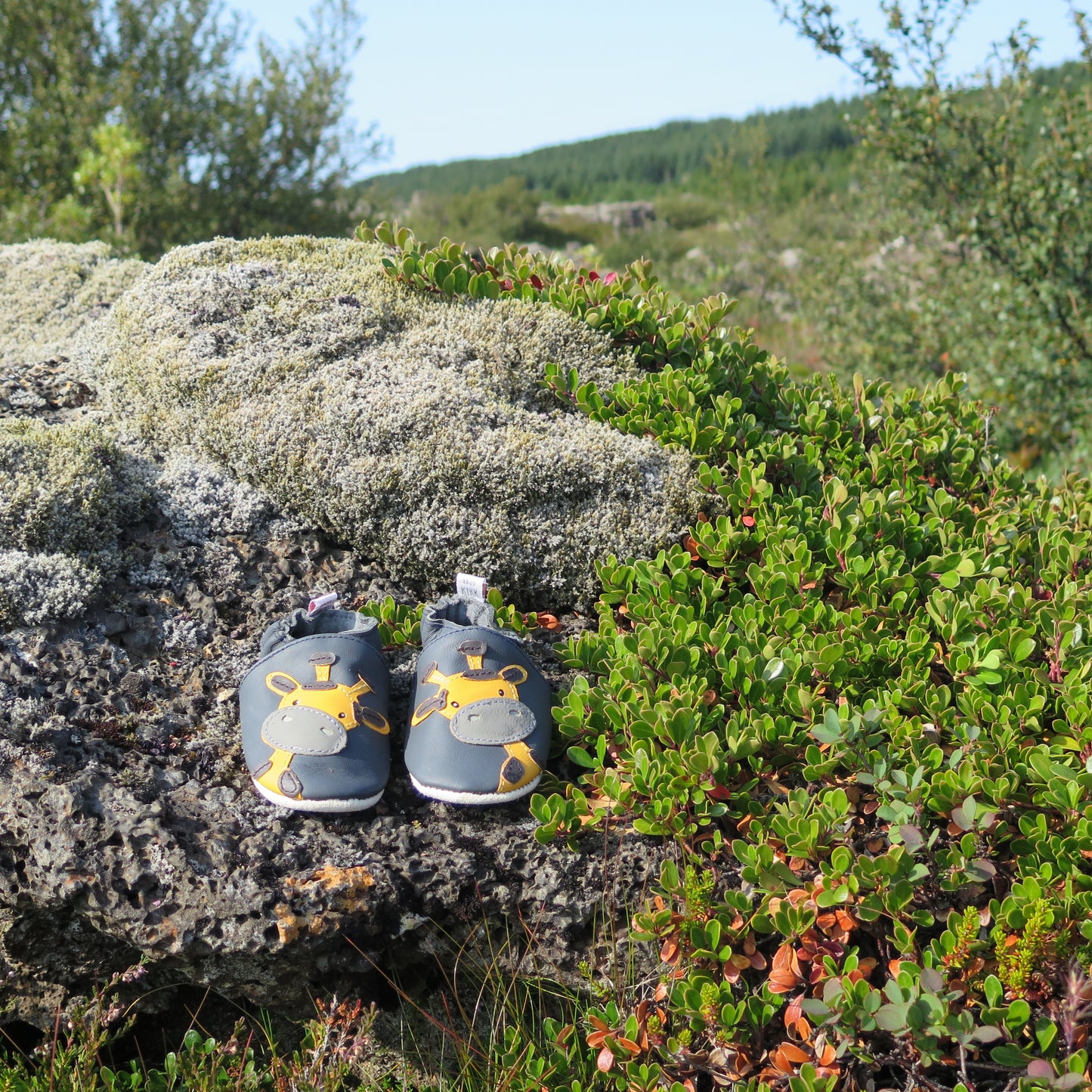 KIKK Reykjavík - Gíraffi mjúkur sóli Bláir