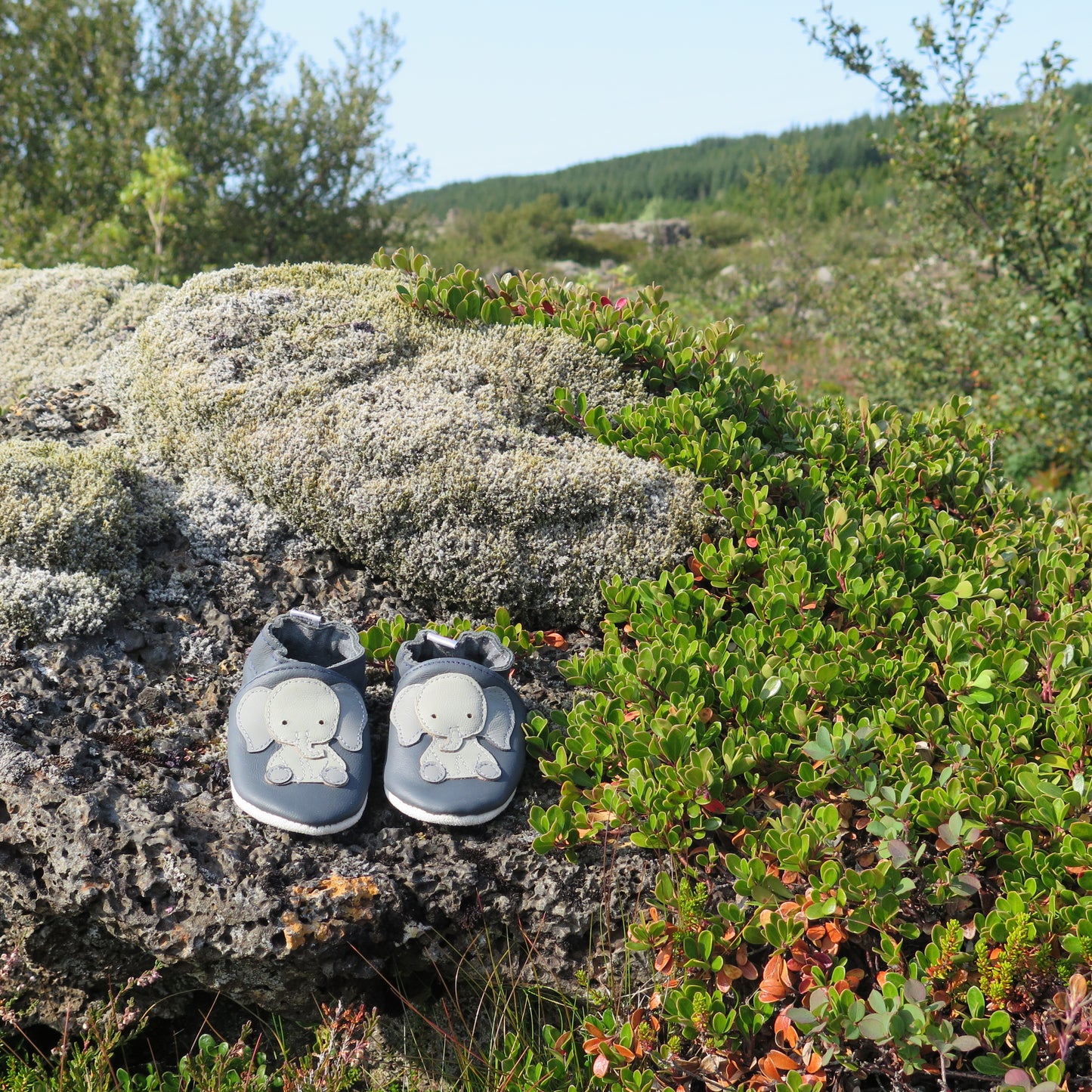 KIKK Reykjavík - Fíll mjúkur sóli blár