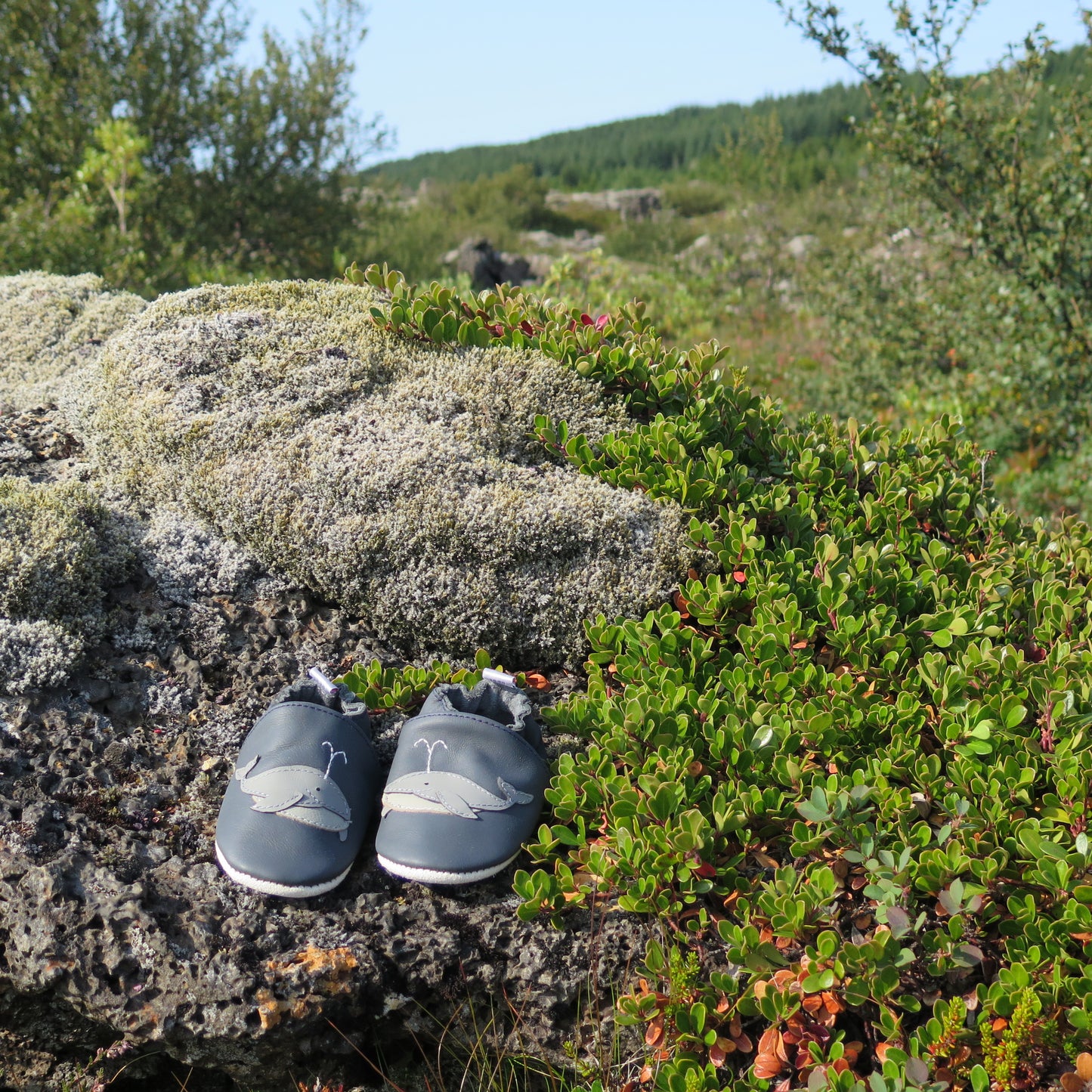 KIKK Reykjavík - Hvalur mjúkur sóli bláir