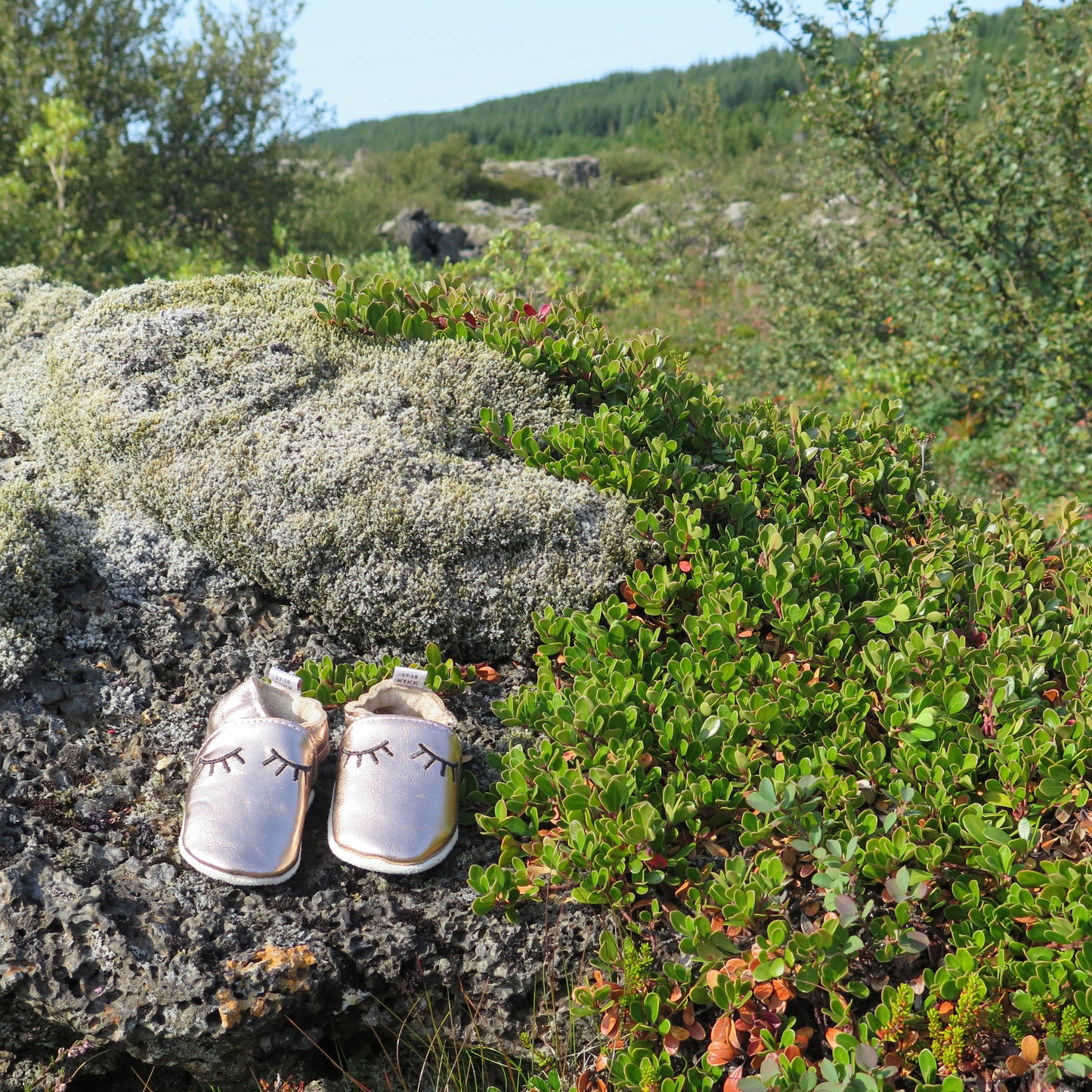 KIKK Reykjavík - Sofandi mjúkur sóli gull
