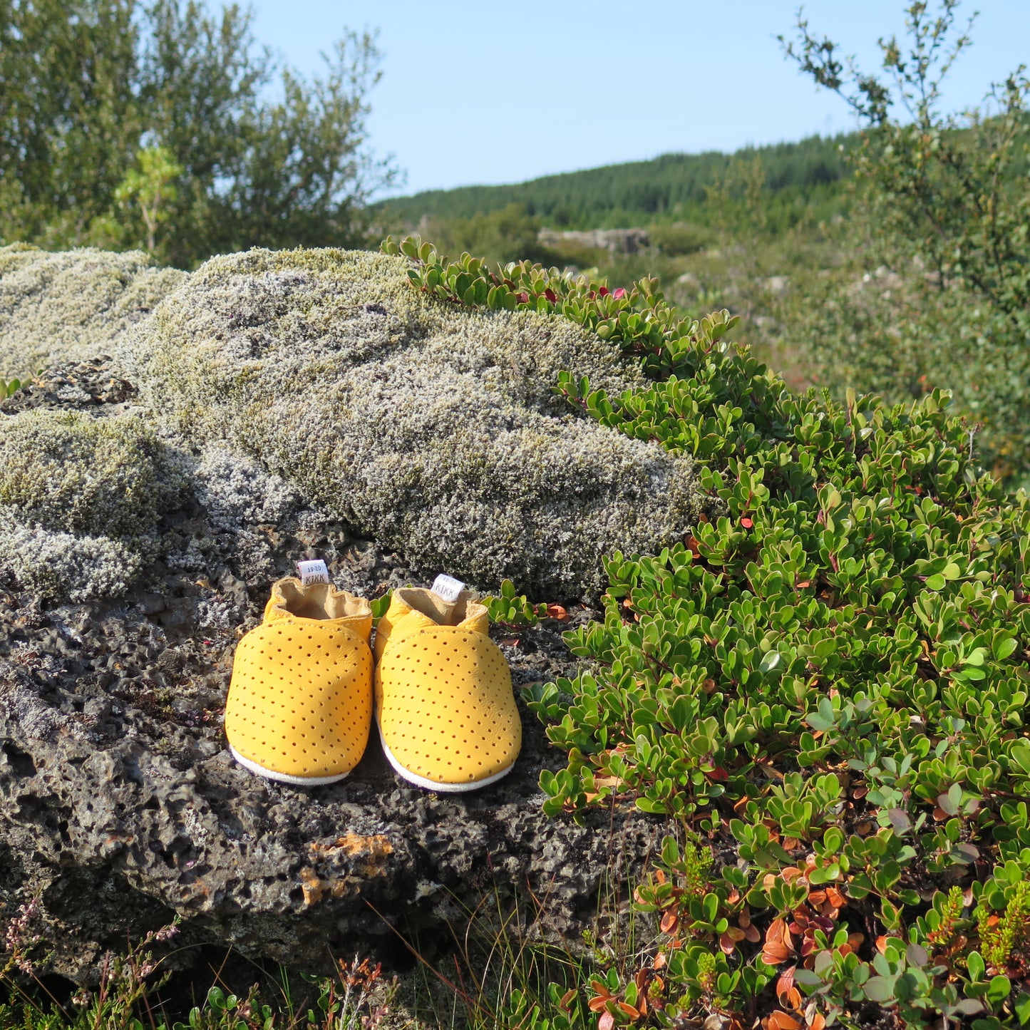 KIKK Reykjavík - Holur mjúkur sóli gulir