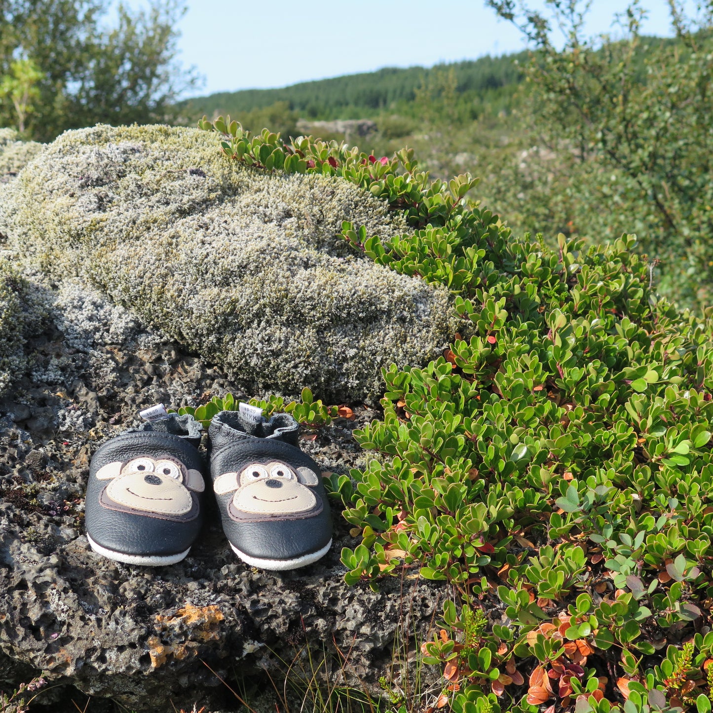 KIKK Reykjavík - Api mjúkur sóli svartir