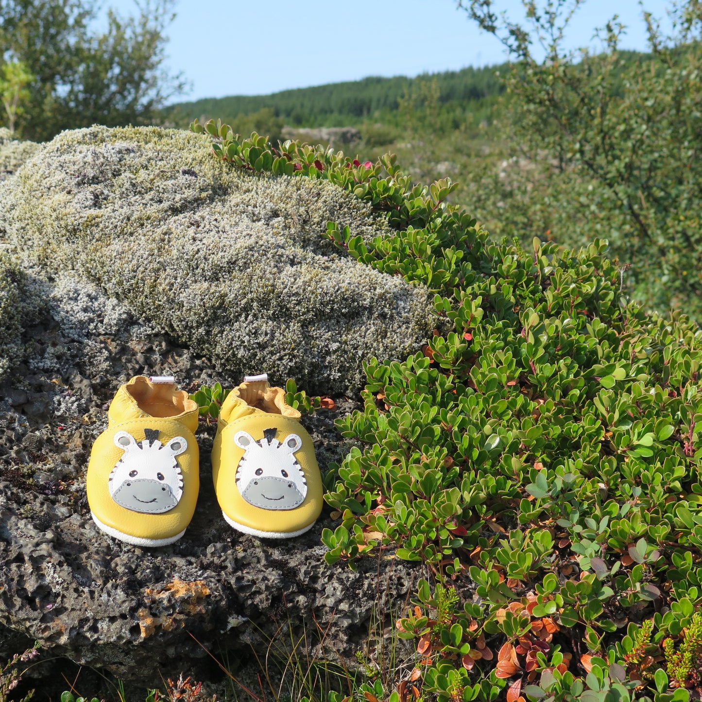 KIKK Reykjavík - Zebra mjúkur sóli gulir