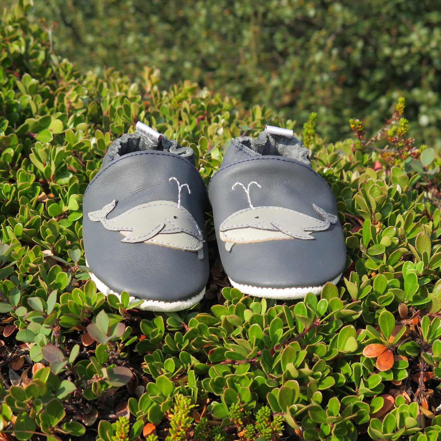 KIKK Reykjavík - Hvalur mjúkur sóli bláir